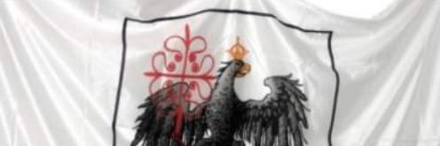 cuervosyperon's profile banner image