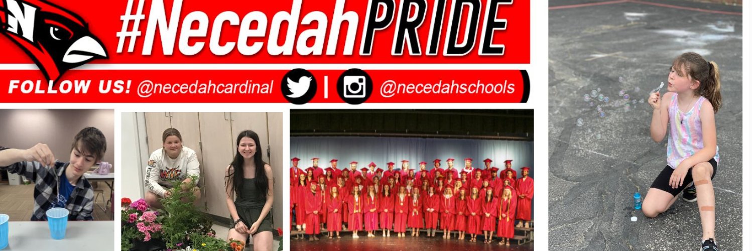 necedahcardinal's profile banner image
