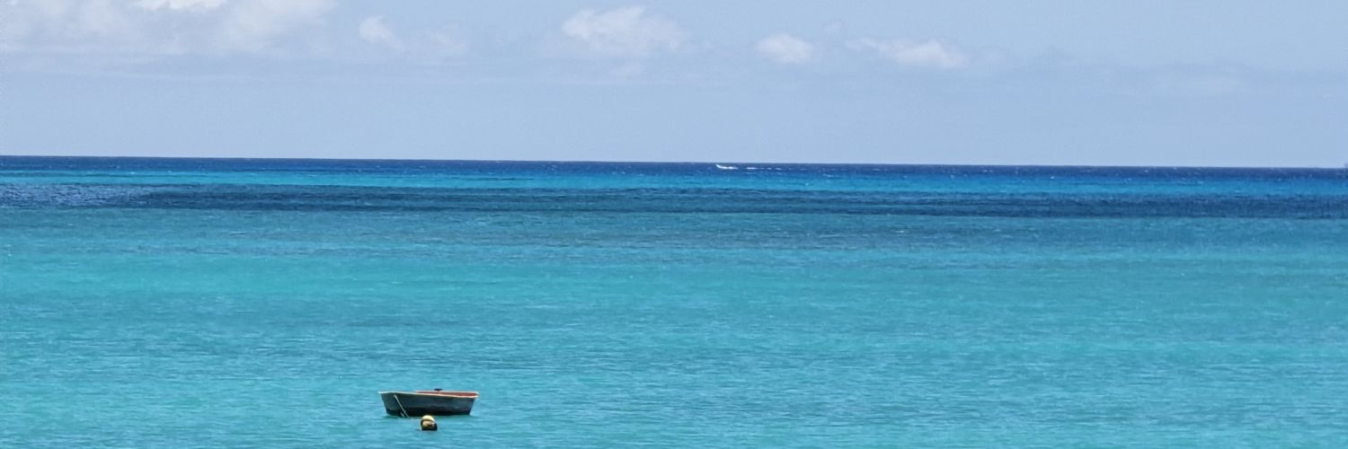 dkamary's profile banner image