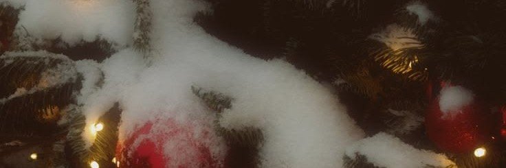 SleepySlugcat's profile banner image