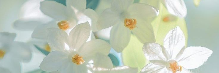 okurasan0905's profile banner image