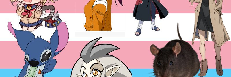 🏳️‍⚧️ Lulu The Rat❤️🤍💗 banner