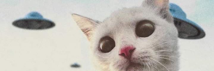 aimaria_'s profile banner image
