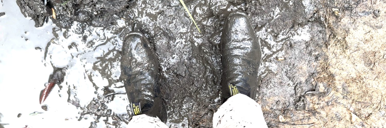 MudMeister64 banner