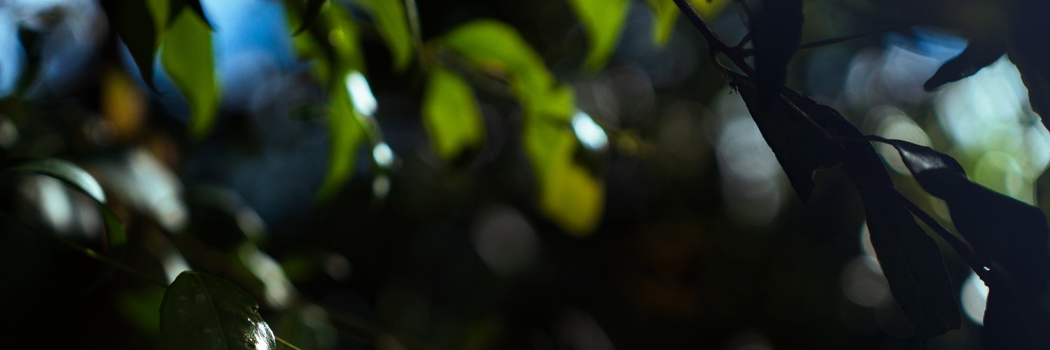 TheProHeretic's profile banner image