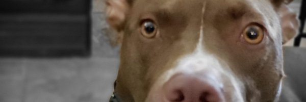 FragileAgile Profile Banner