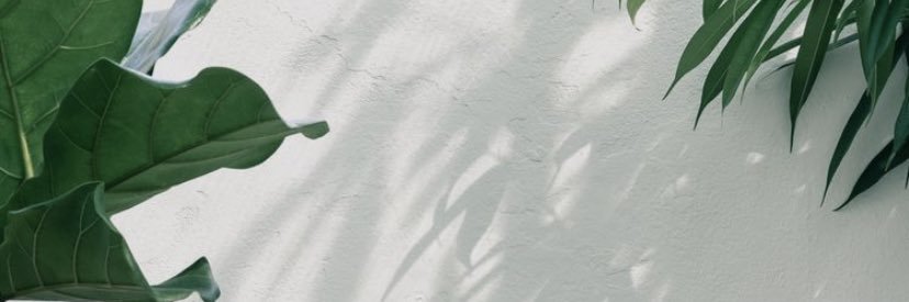0394_Jess's profile banner image