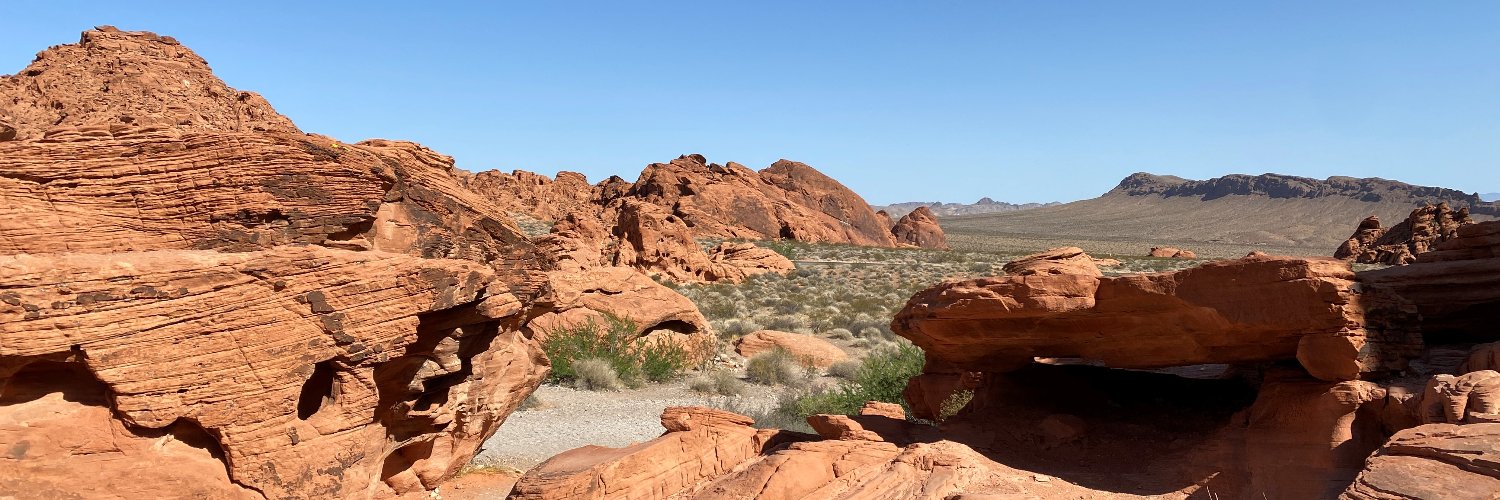 Scott Peskowitz™ banner