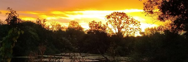 darrenbizzle2 Profile Banner