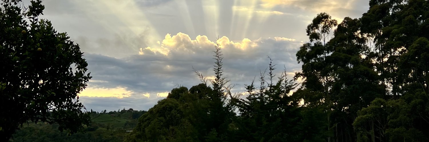 fmiguel91's profile banner image