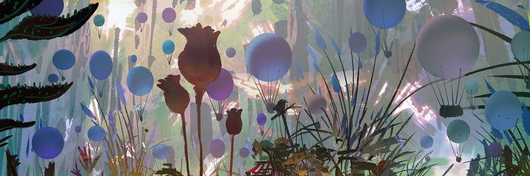 Bibabol4's profile banner image