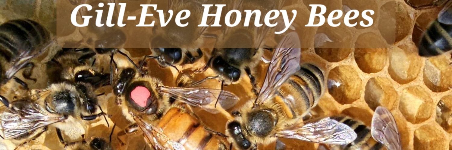 Gill-Eve Honey Bees's banner