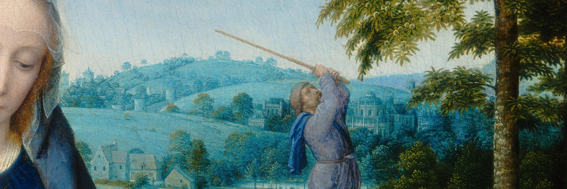 Jason Cleverly banner