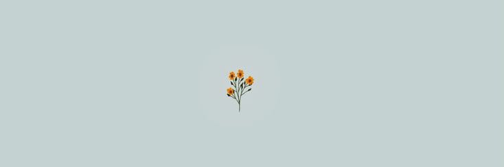 _dtmayer's profile banner image