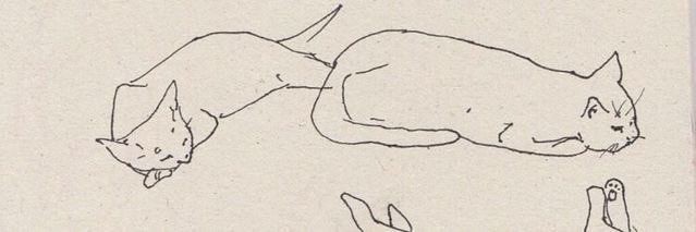jasmine. banner