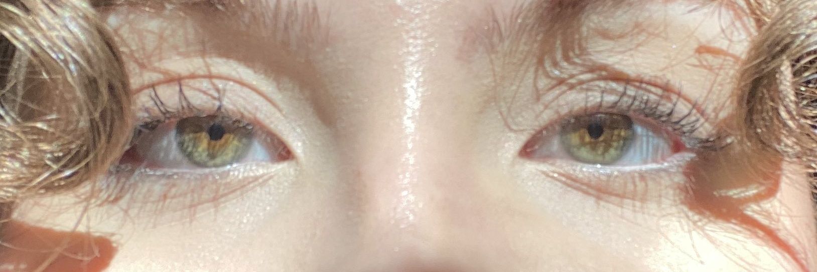 Anti Kemalist hoplatan banner