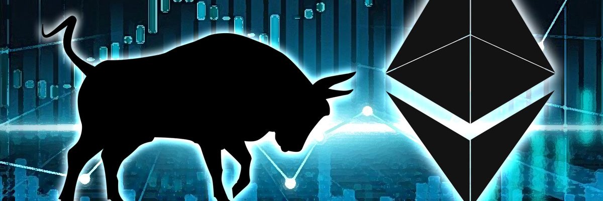 francois_waters's profile banner image