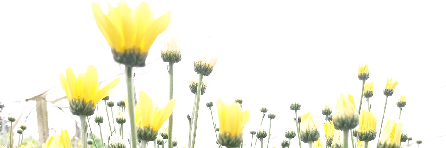LiliAlvarezAgro's profile banner image
