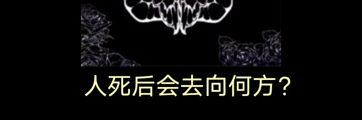 一只袜子两个洞's banner