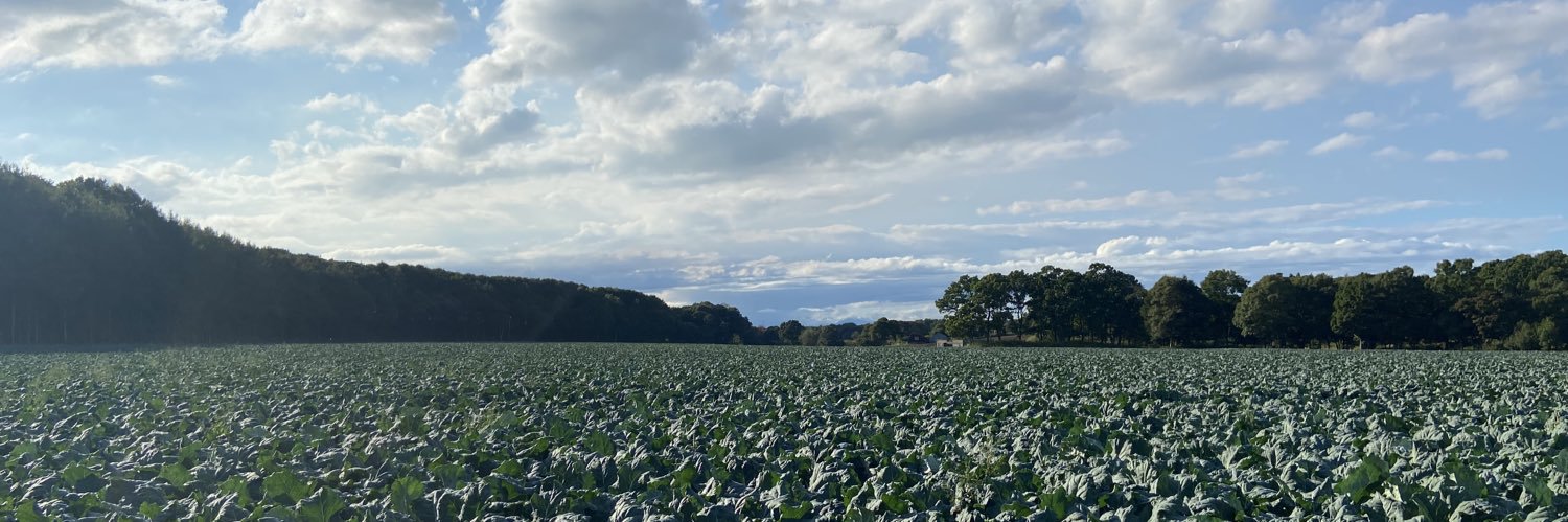 とみやす｜北海道の大規模農家 banner