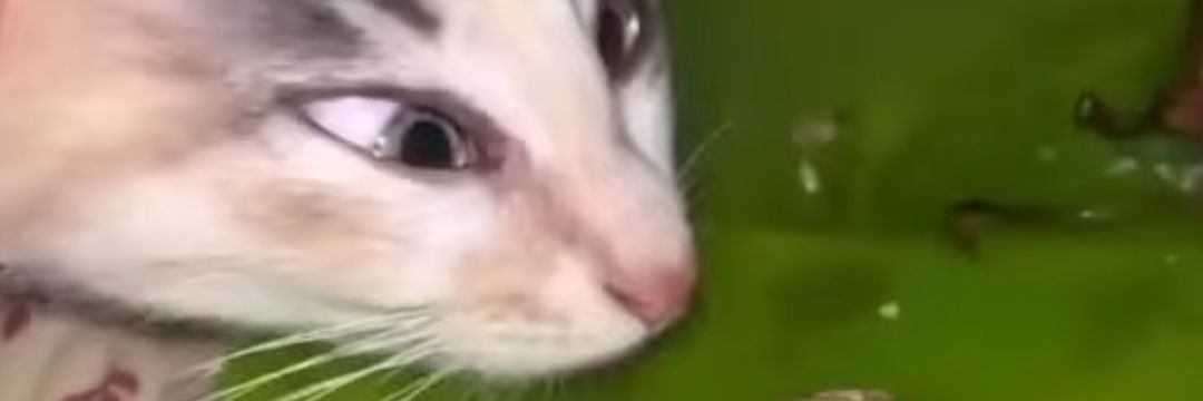 Zalan115's profile banner image