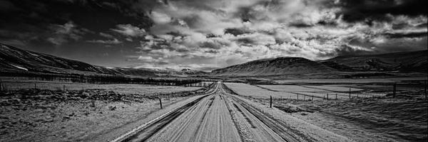 olenaiva Profile Banner