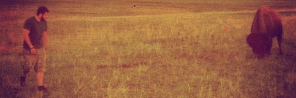 Maximil45415262's profile banner image