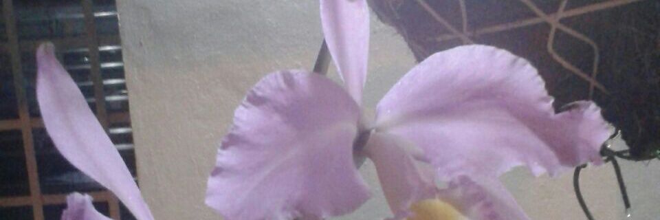 j2ccaraballo's profile banner image