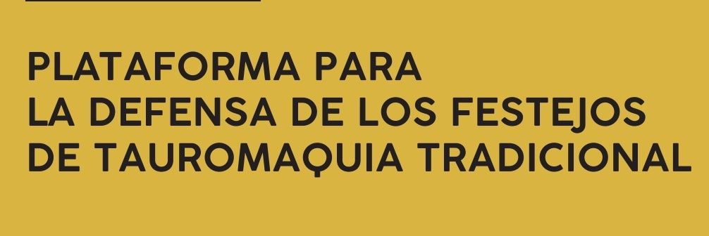 P. Festejo Tradicional Popular banner