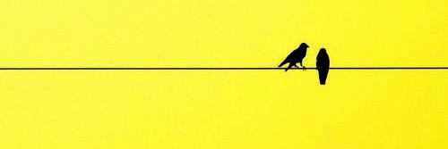 guillemili's profile banner image