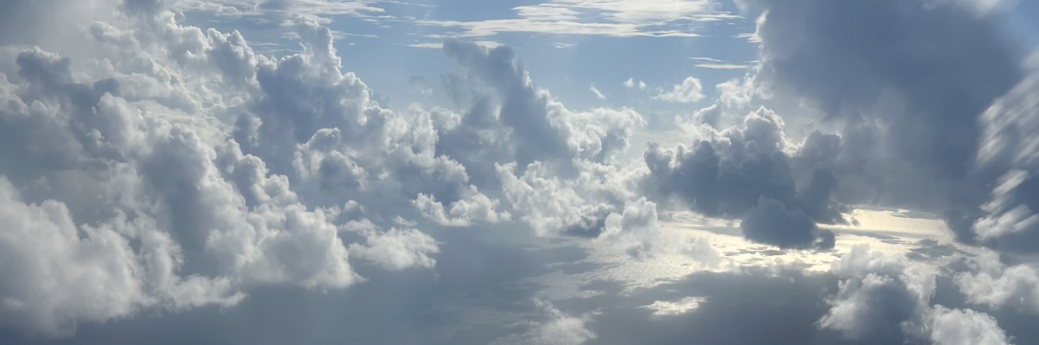nicoleeiram_'s profile banner image