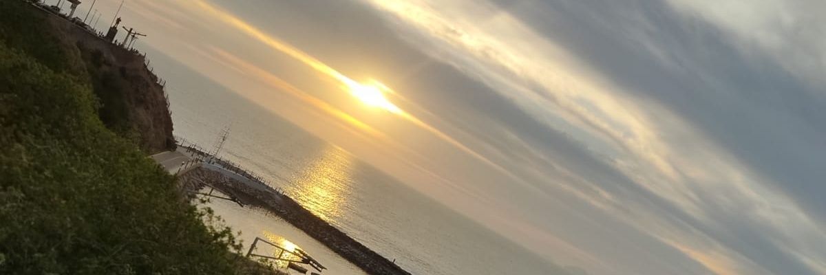 mvsf18's profile banner image