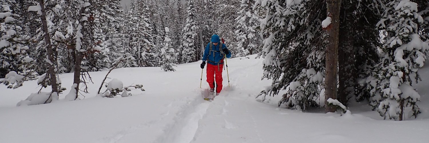 Cait DesRoches, DrPH banner