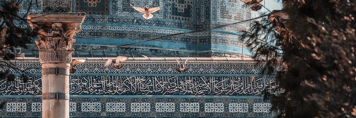 akshahin's profile banner image