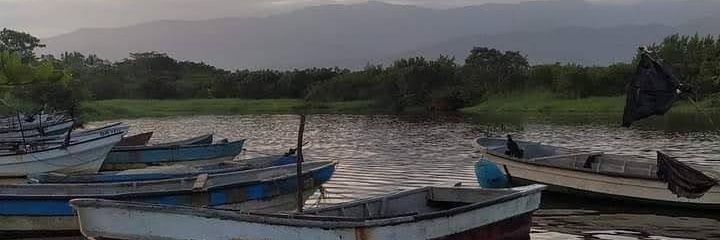 Edonis P@stor banner