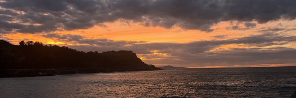 delarregi Profile Banner