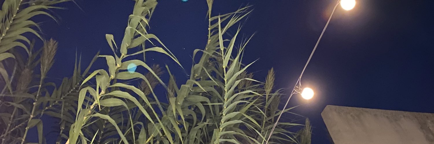 PaulaDiSibio's profile banner image
