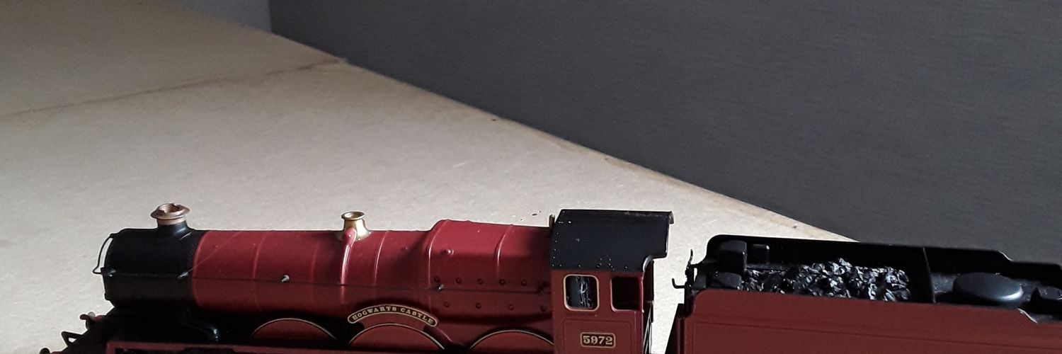 Susan D'Agostino banner
