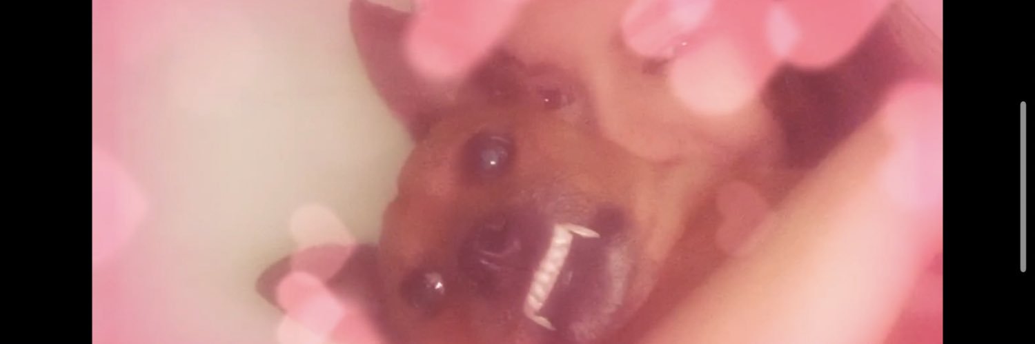 minedrdgz's profile banner image