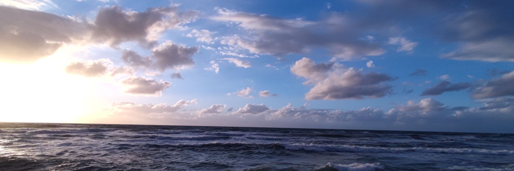 Venus Victrix banner