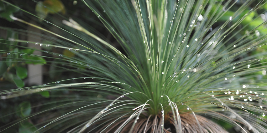 Charles Maurice de Talleyrand-Périgord banner