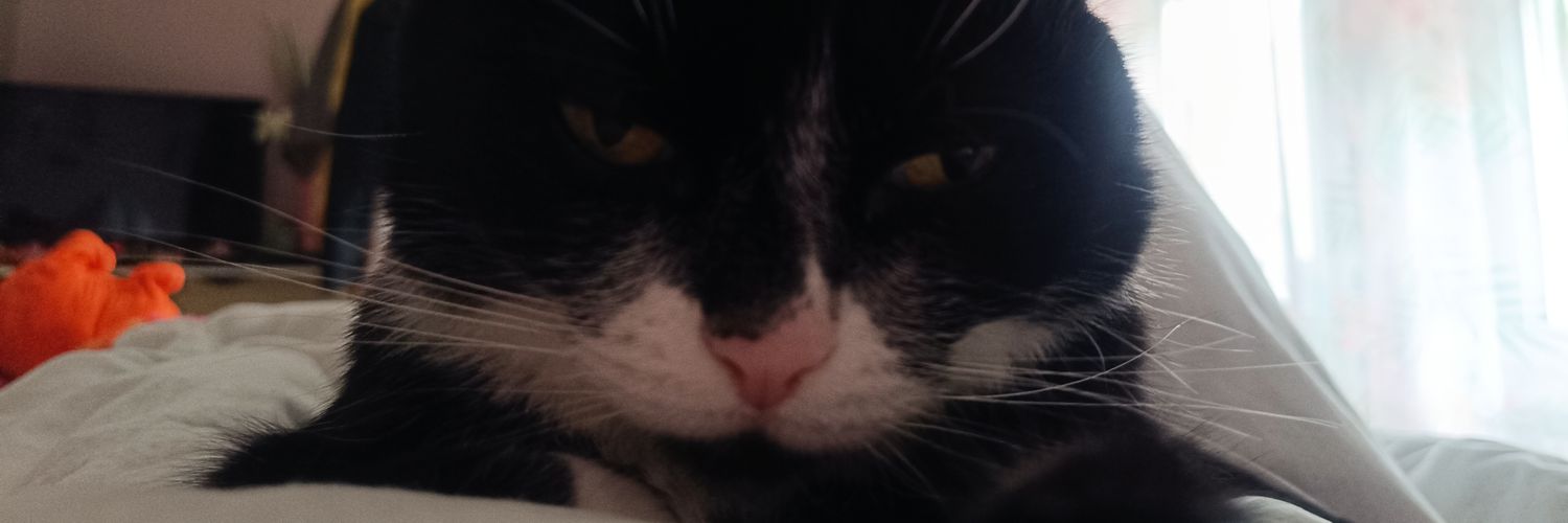 mxnxnlnrd's profile banner image