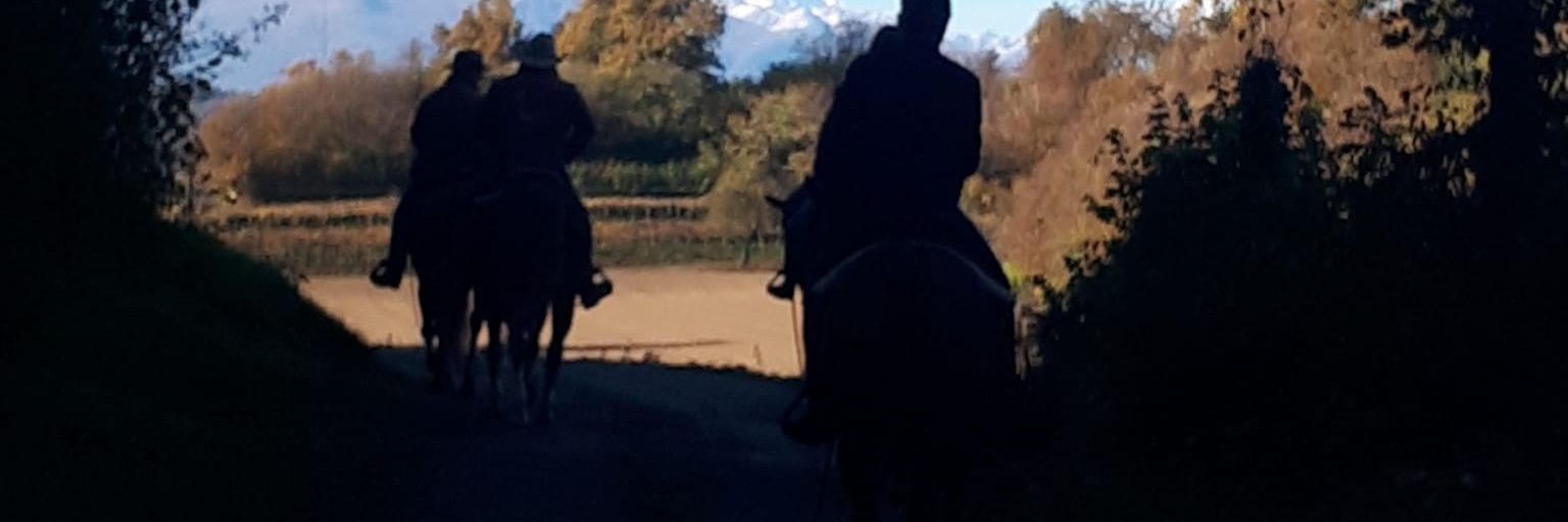 AlbyLake47's profile banner image