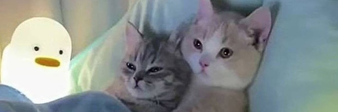 abutchiii's profile banner image
