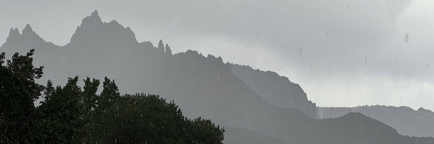 tqlpz's profile banner image