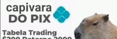 wyllix banner