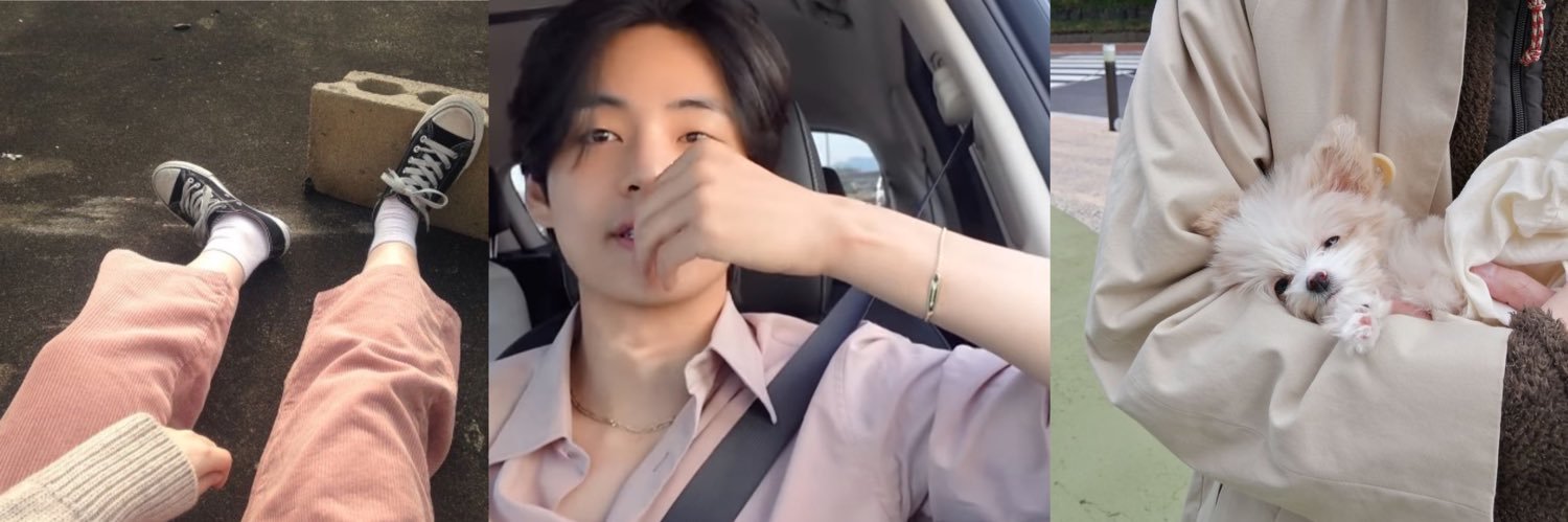 vminssfly's profile banner image