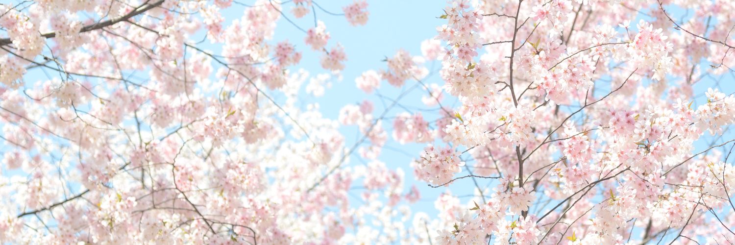 kimyooksa's profile banner image