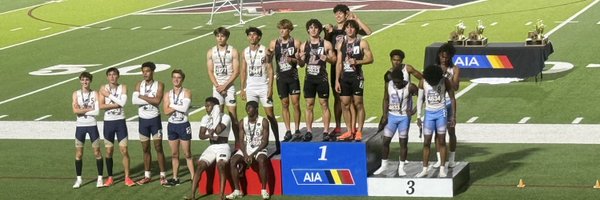 LHSLionsTrack Profile Banner