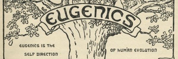 Selective Breeding and the Birth of Anime's banner